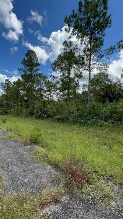 En Venta: $35,000 (0.23 acres)