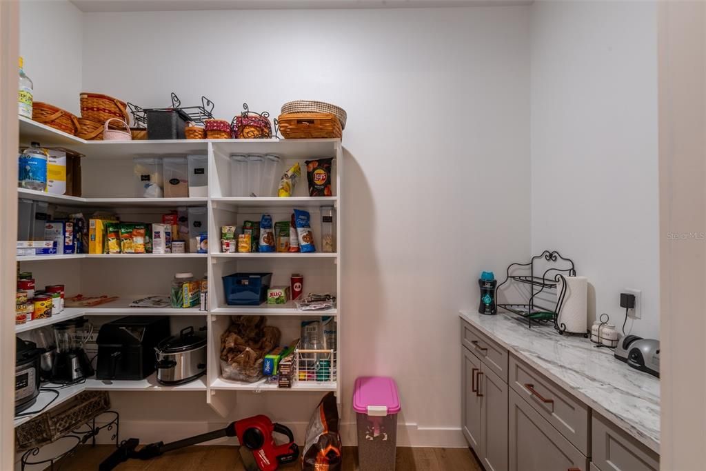 Walk-In Pantry