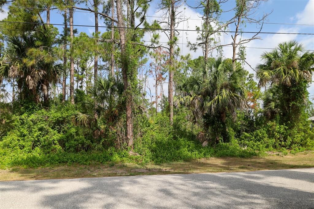 LOT 33 OVERHEAD STREET, NORTH PORT