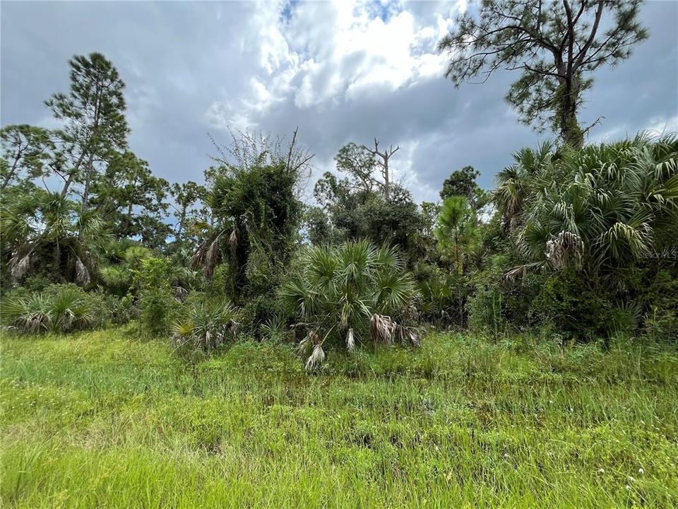 En Venta: $30,000 (0.46 acres)