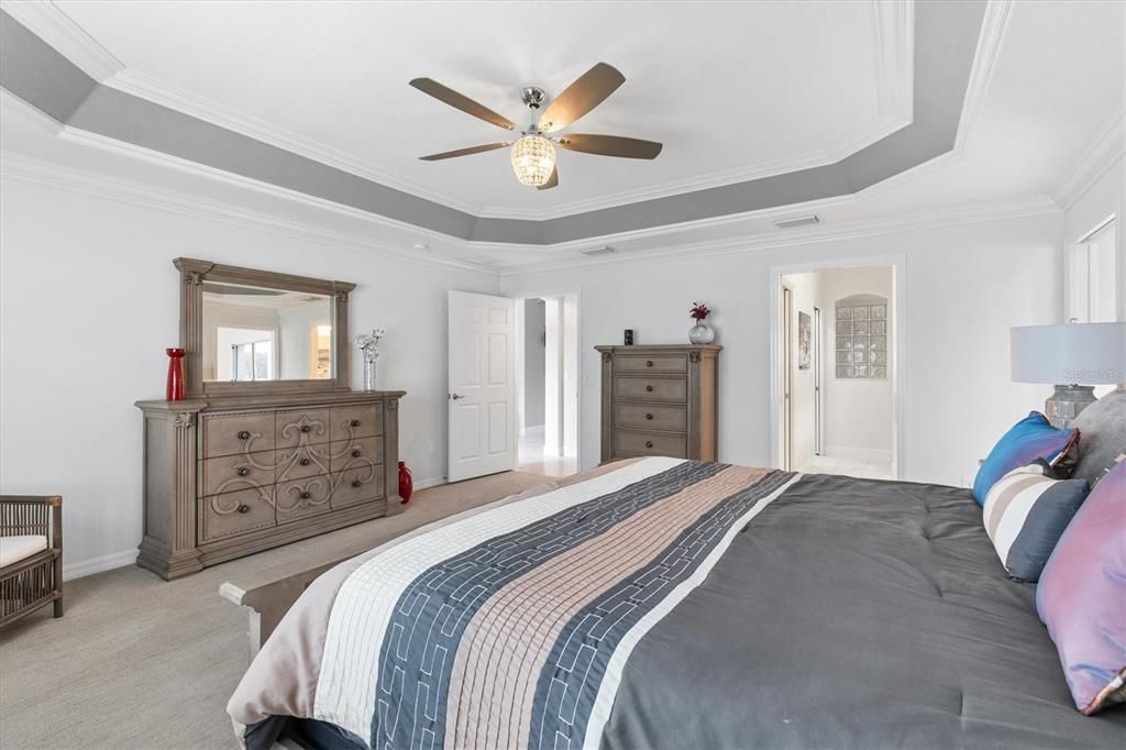 BEAUTIFUL LARGE PRIMARY BEDROOM WITH TRAY CEILING AND CUSTOM PAINTING.CARPET IS FANTASTIC.