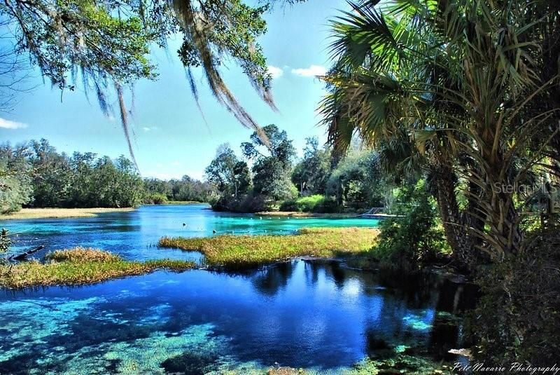 Head waters of Rainbow River near by at State park