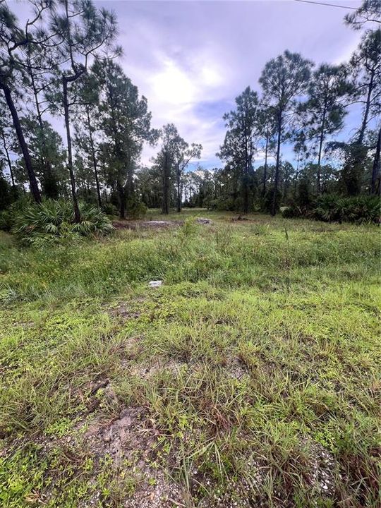 For Sale: $29,900 (0.24 acres)