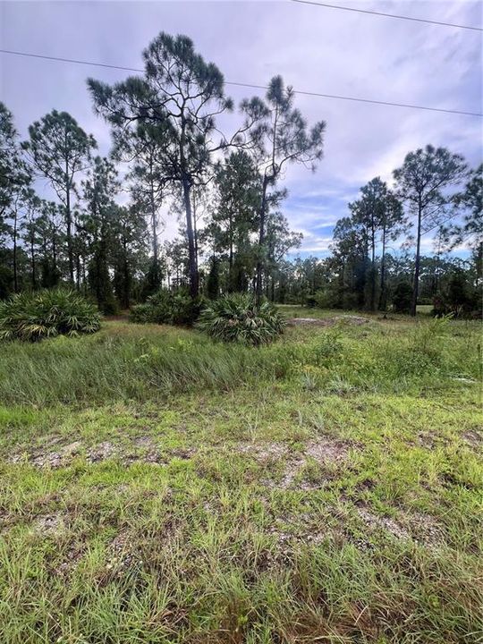 For Sale: $29,900 (0.24 acres)