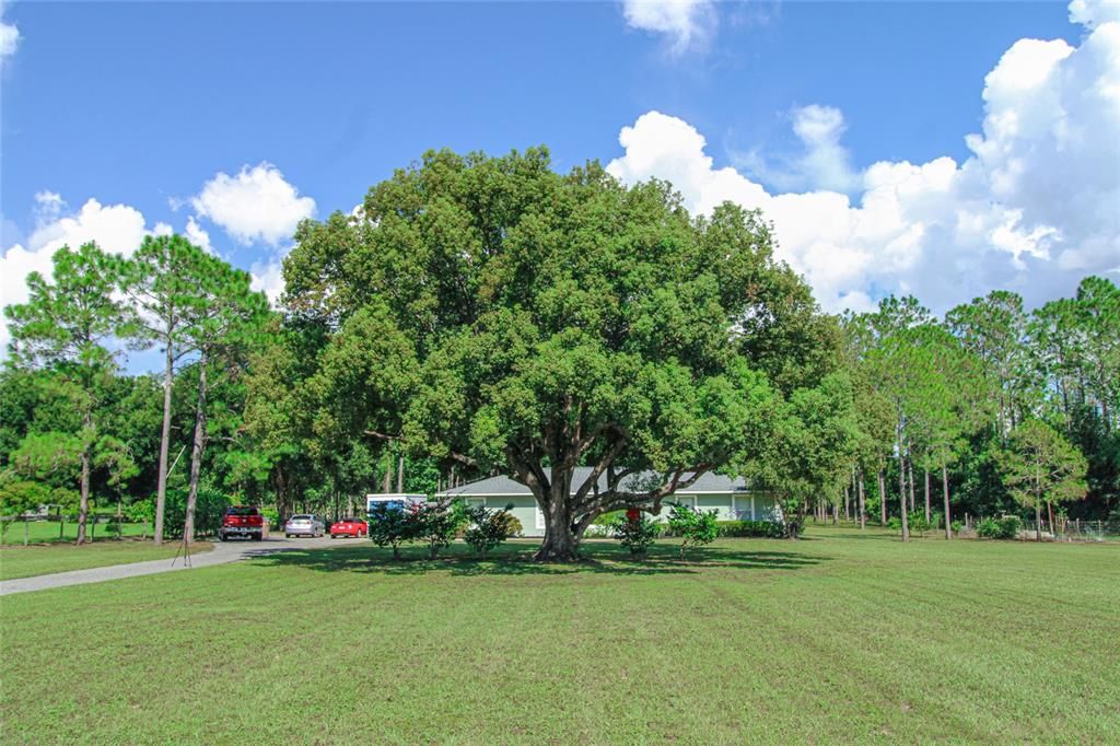 Active With Contract: $389,900 (4 beds, 2 baths, 1741 Square Feet)