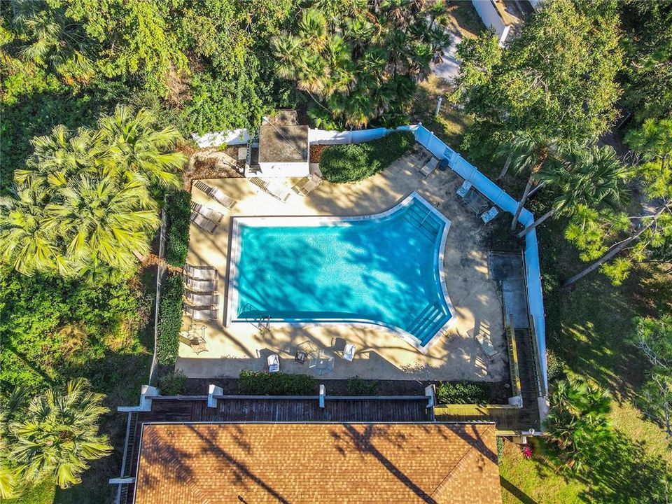 Aerial of the community pool