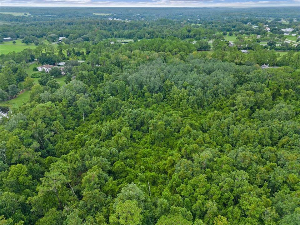 На продажу: $125,000 (4.96 acres)