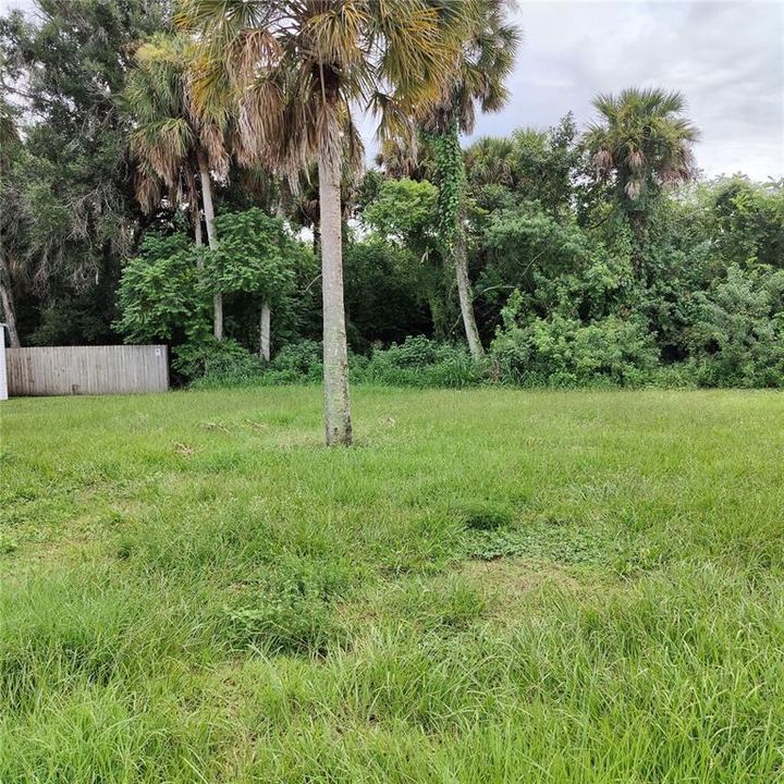 50 foot vacant lot to the left of the property provided extra "elbow room" and privacy