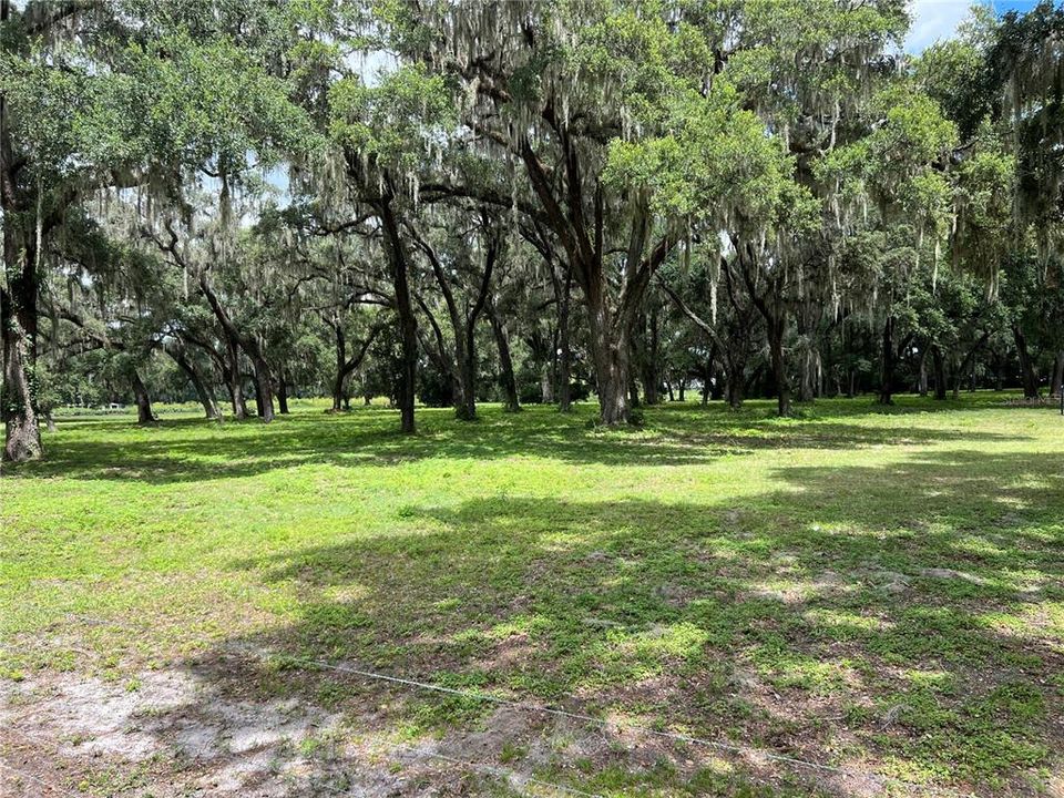 Active With Contract: $265,000 (10.00 acres)