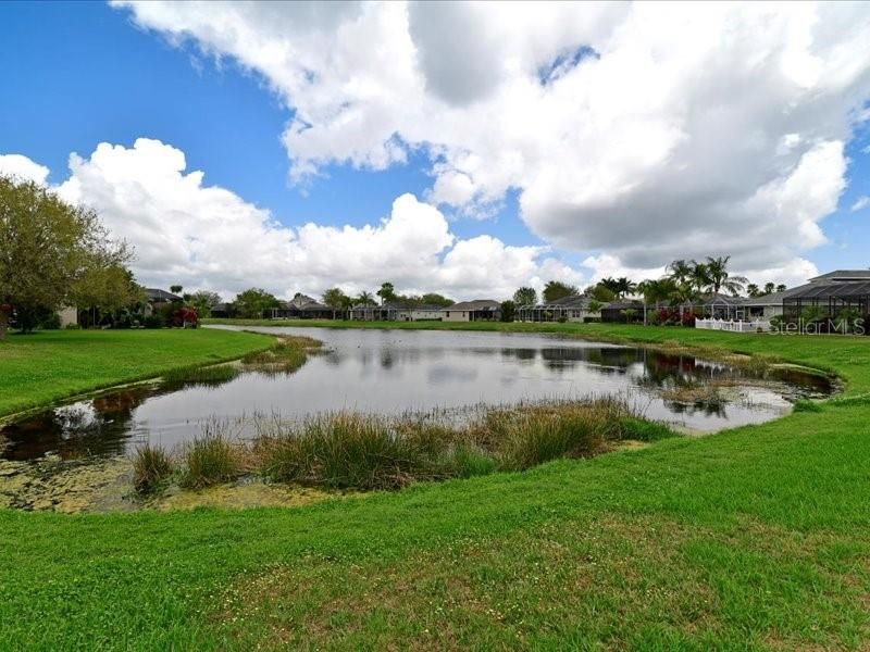 Active With Contract: $4,500 (4 beds, 3 baths, 2479 Square Feet)