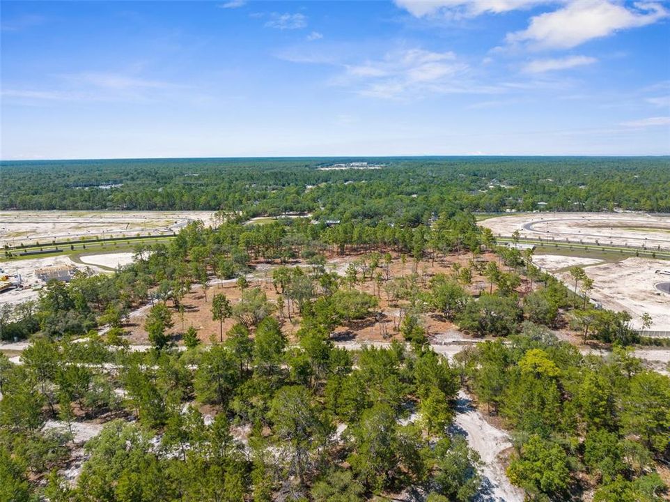 На продажу: $2,600,000 (9.10 acres)