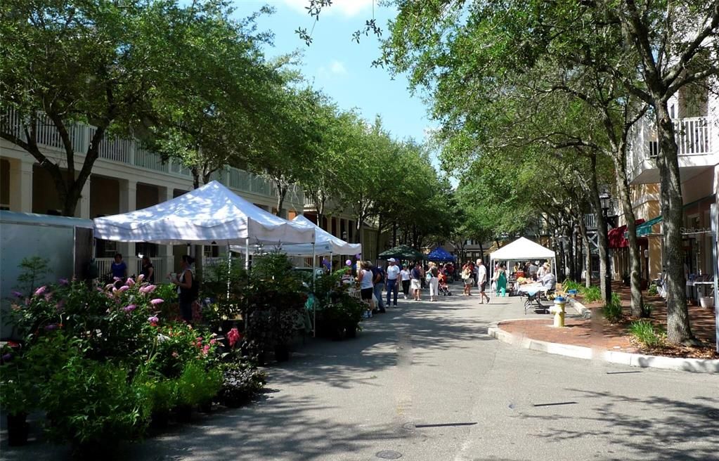 Every Saturday, there is a Farmers market in Haile Village Center. Many owners walk their dogs, listen to music, buy fresh flowers and fresh food... Haile Village Center is an Amazing place to live, shop, work, or play.