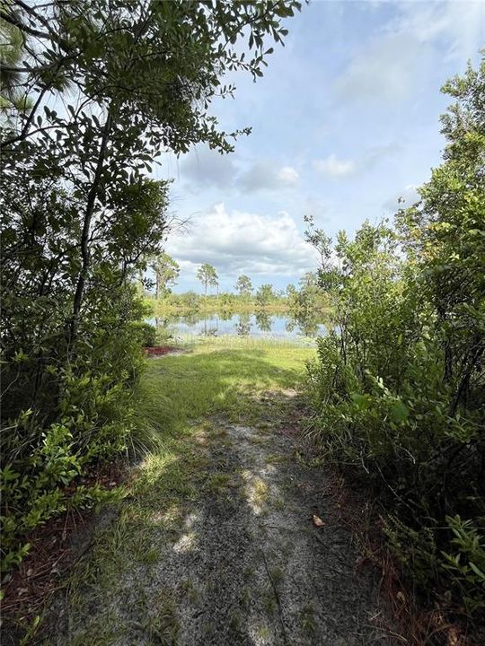 Walking / Golf Cart Path to Pond