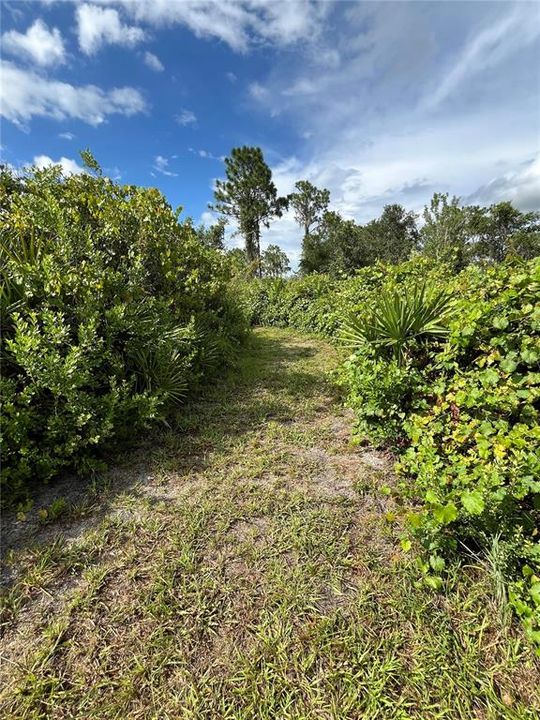 Walking / Golf Cart Paths