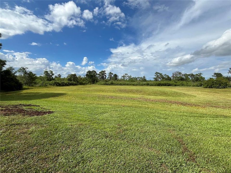 Homesite View from the Road