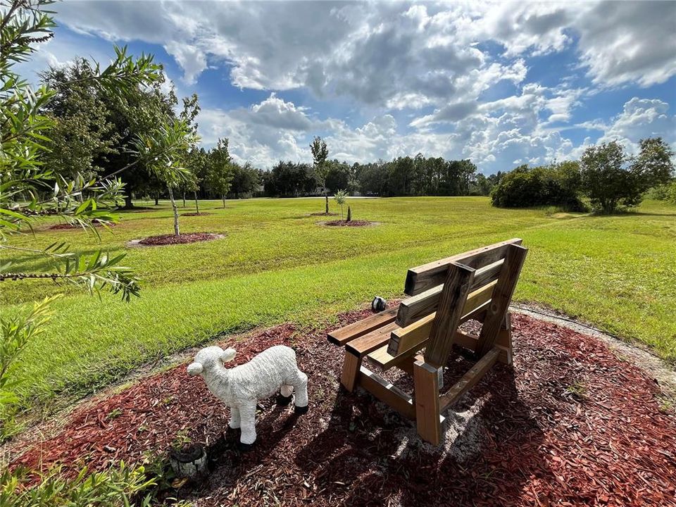 View of Landscaping