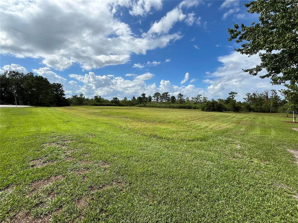 Homesite View from the Road