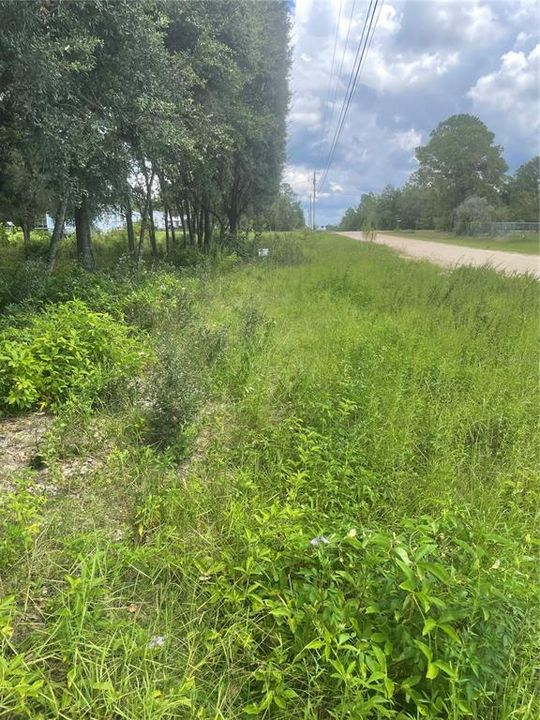 En Venta: $49,000 (1.15 acres)