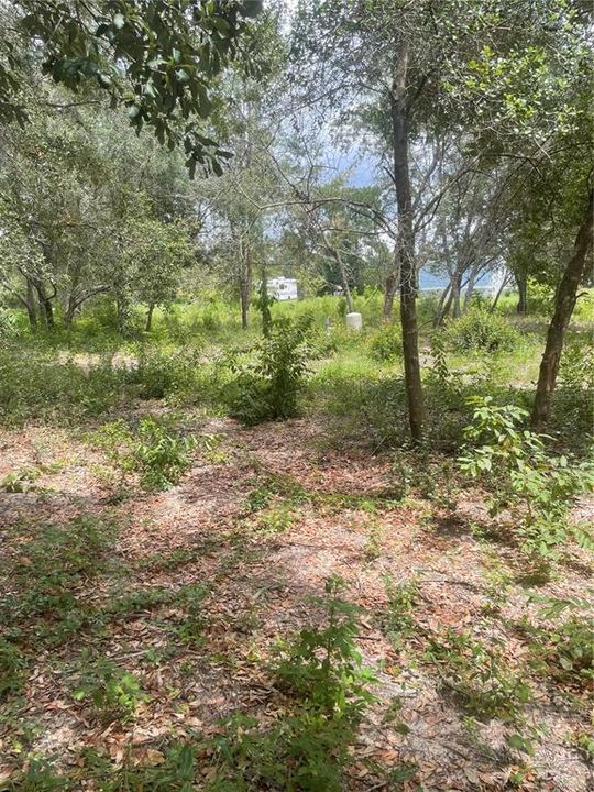 En Venta: $49,000 (1.15 acres)