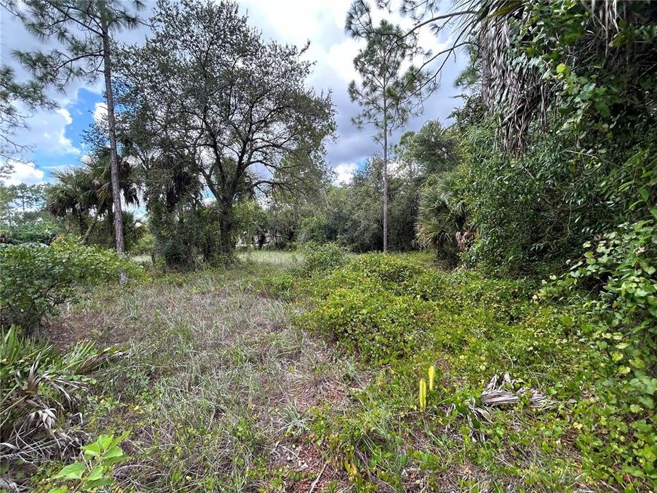 En Venta: $35,999 (0.47 acres)