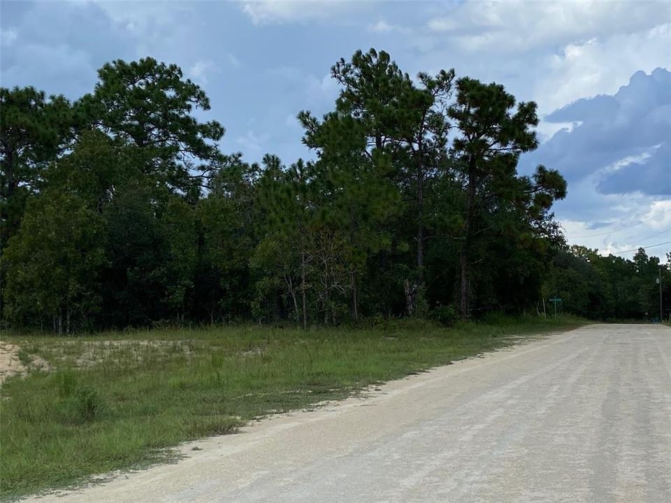 En Venta: $60,000 (0.46 acres)