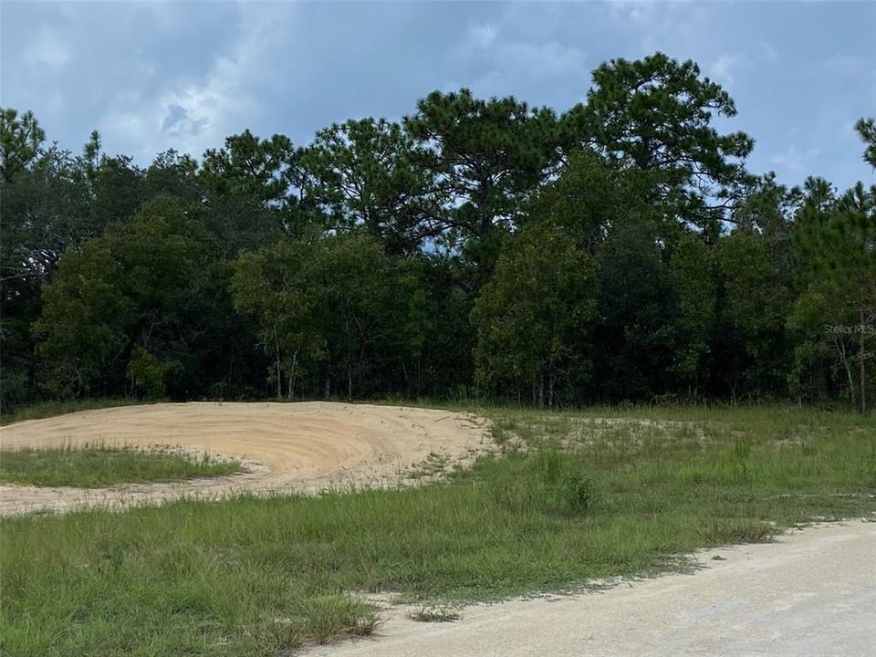 En Venta: $60,000 (0.46 acres)