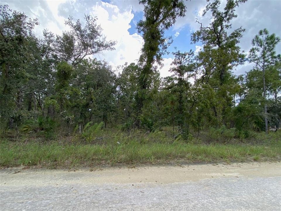 En Venta: $60,000 (0.46 acres)