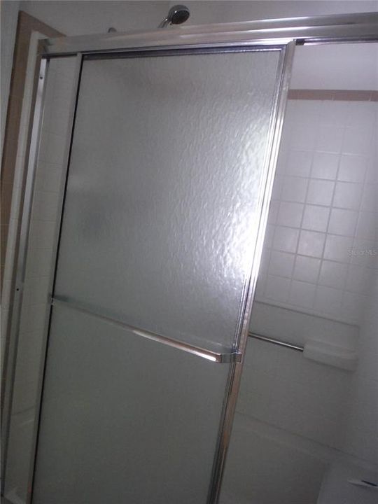 Master Bath Shower