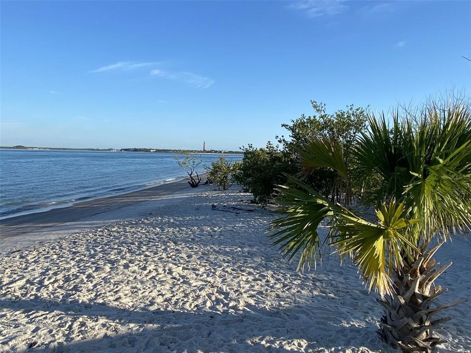 Smyrna Dunes Park dog friendly beach