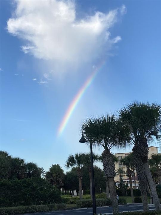 A rainbow captured from the south.