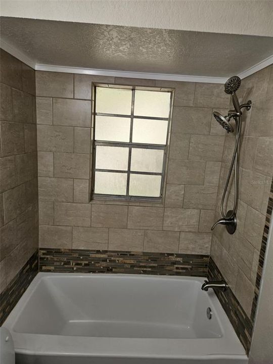 Master Shower and Tub