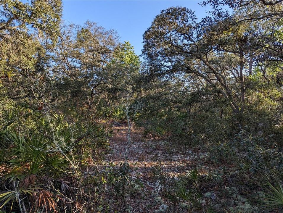 For Sale: $274,900 (3.86 acres)