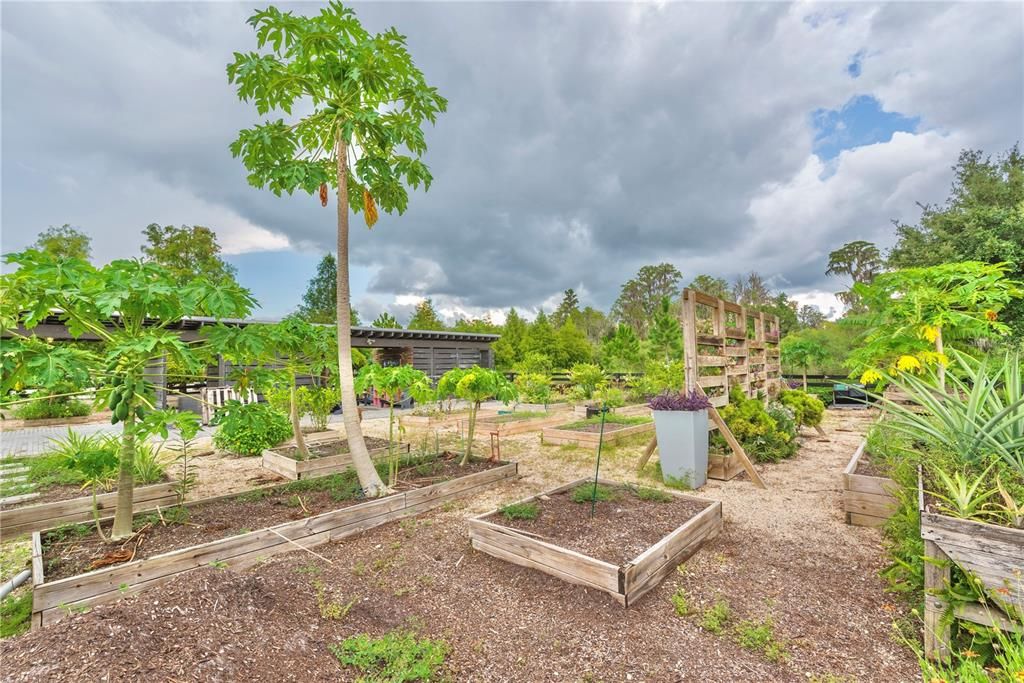 Cunningham Park raised flower beds.