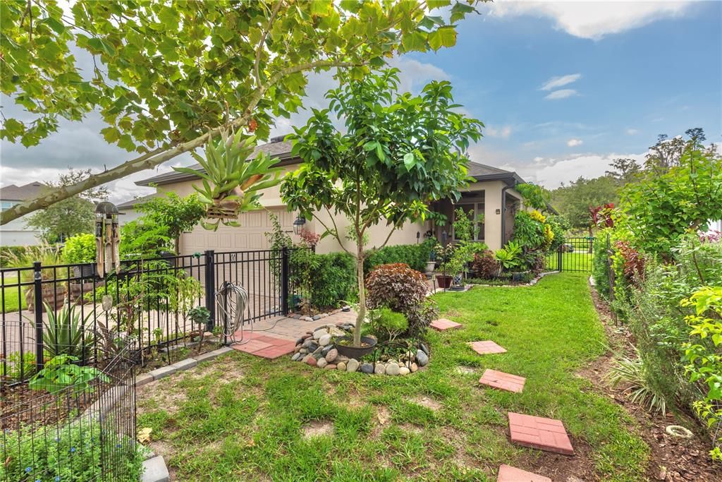 Fenced back yard.