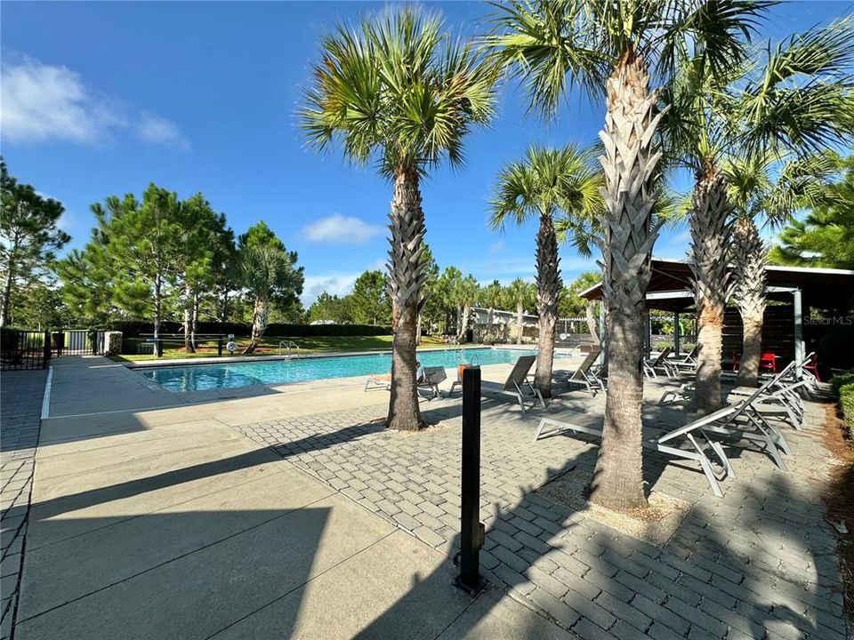 Whitfield Park pool.