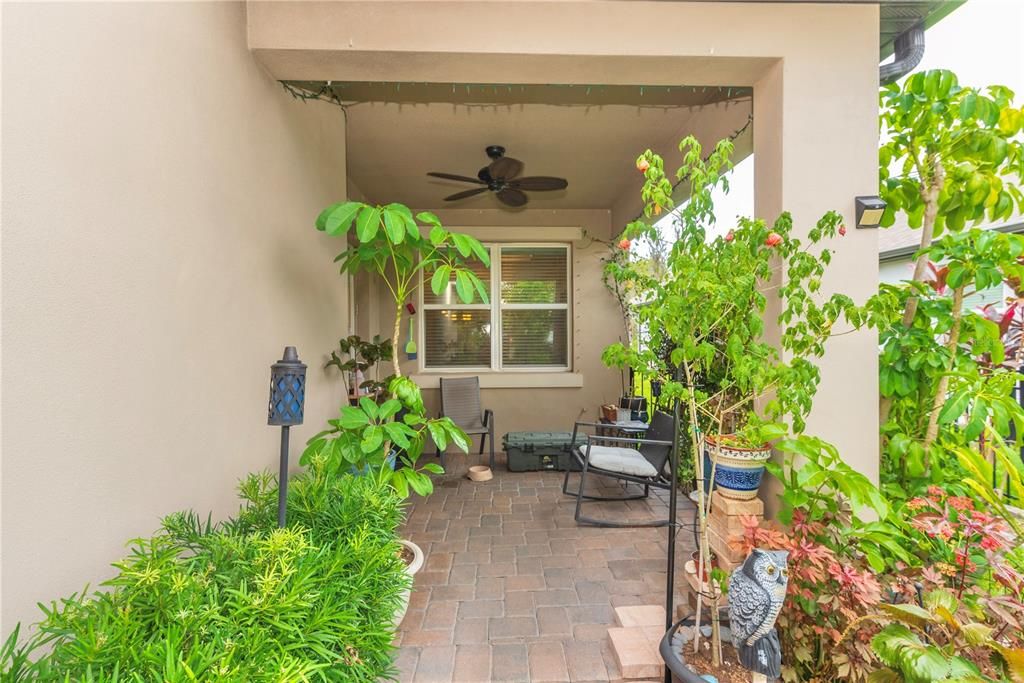 Covered rear patio.