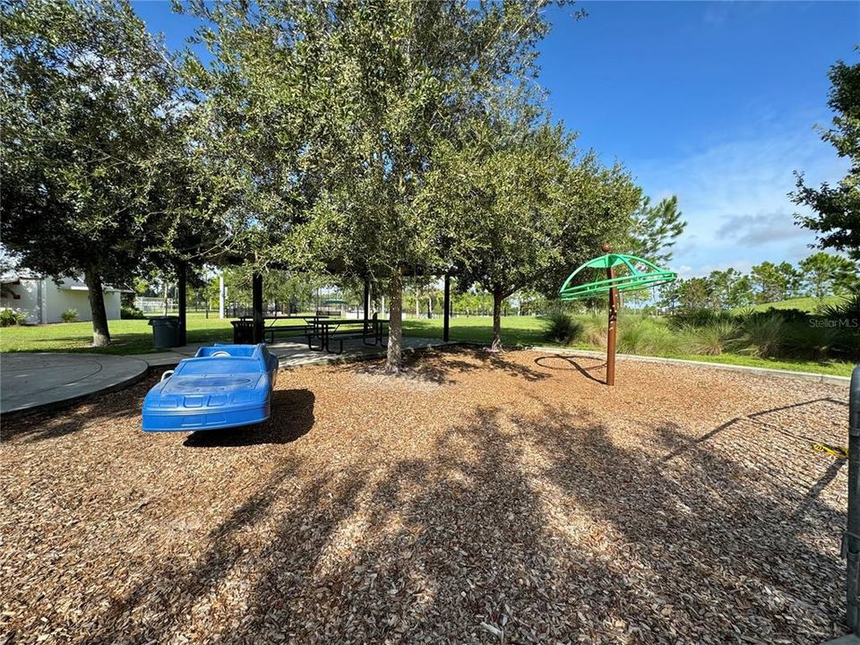 Pasco municipal playground.