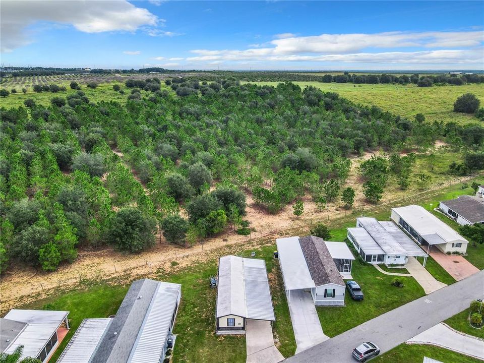 Aerial of the home and neighbors