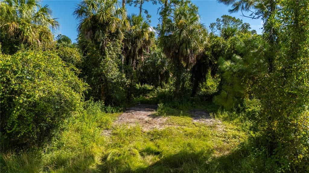 Active With Contract: $26,900 (0.34 acres)