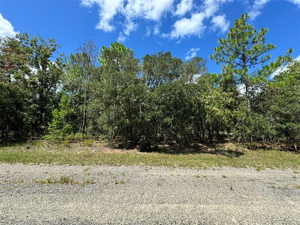 Homesite is 80'x125'...No Flood Zone!