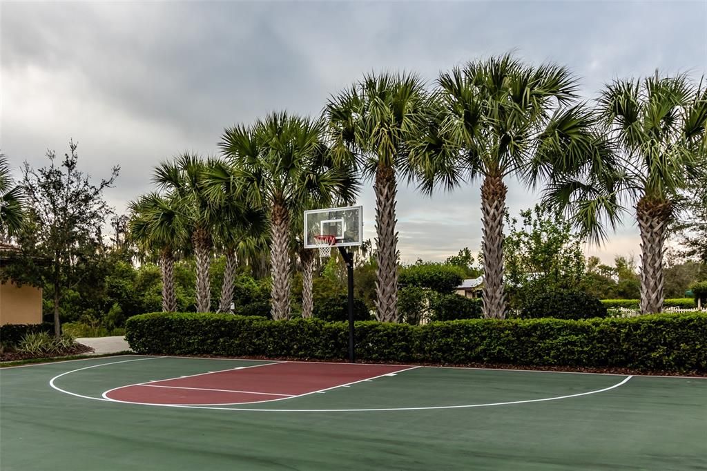 Basketball Court