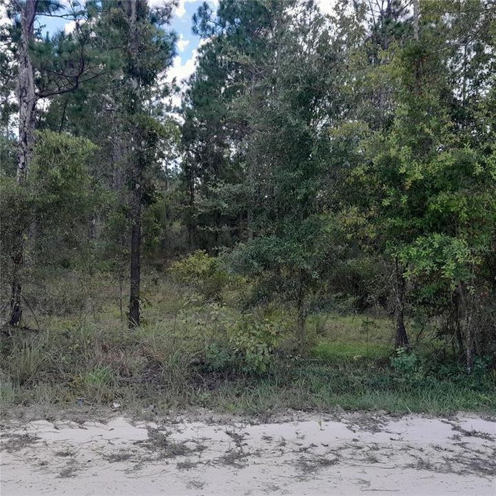 En Venta: $27,000 (1.25 acres)