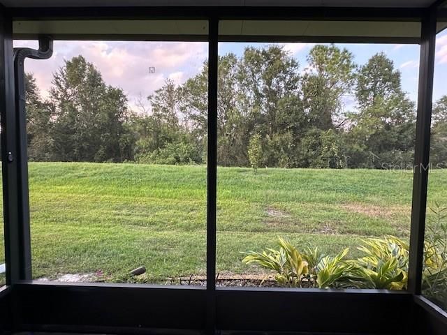 Covered Patio View