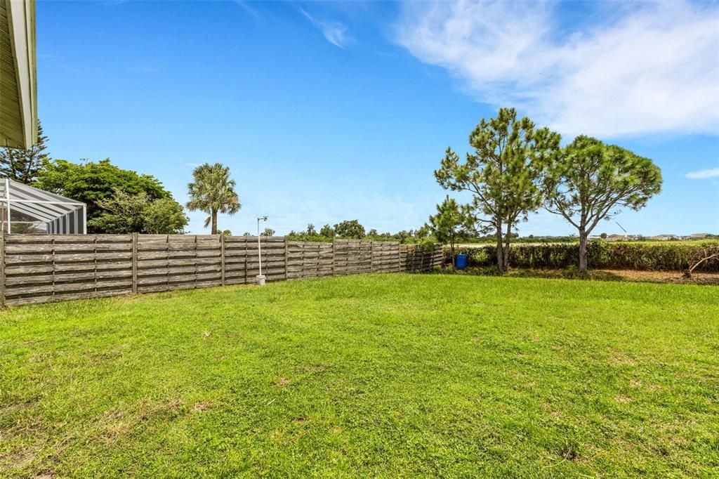 View of half of the big Backyard!  Room for 2 pools and still have a big lawn.