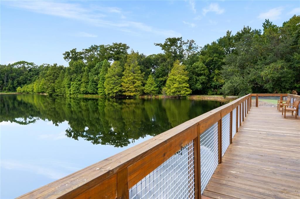 Peaceful view from the deck