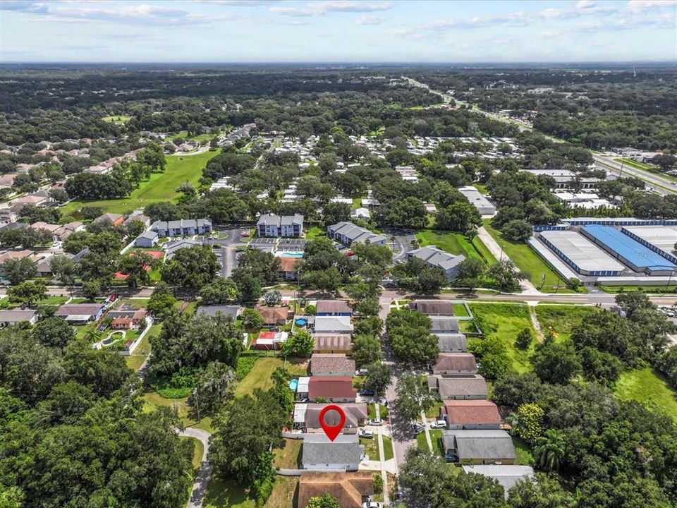 Neighborhood Aerial