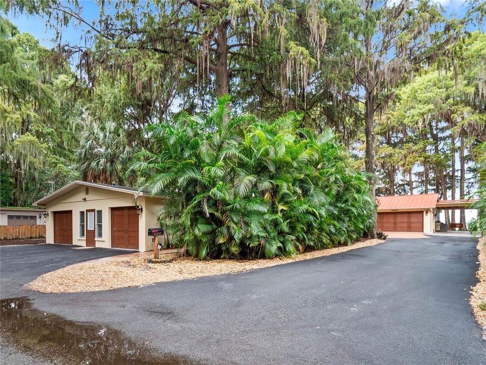 large driveway leading into the property