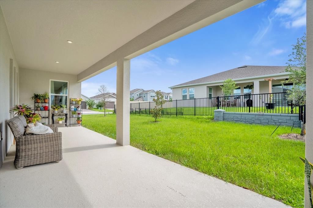 Patio and Backyard