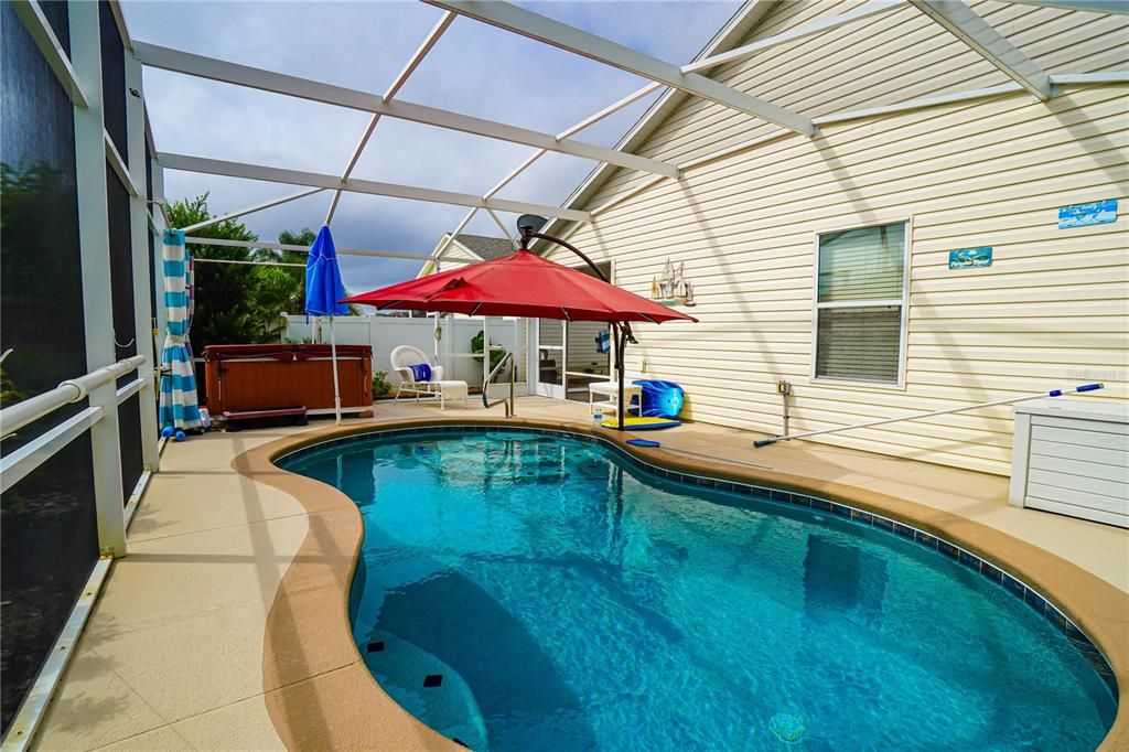 Birdcage Pool and Hot tub