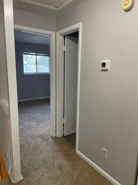 Active With Contract: $1,500 (2 beds, 2 baths, 800 Square Feet)